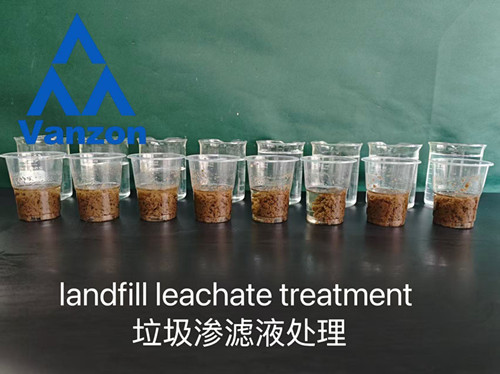 Landfill Leachate Treatment Success: PAC & PAM Flocculation Case Study